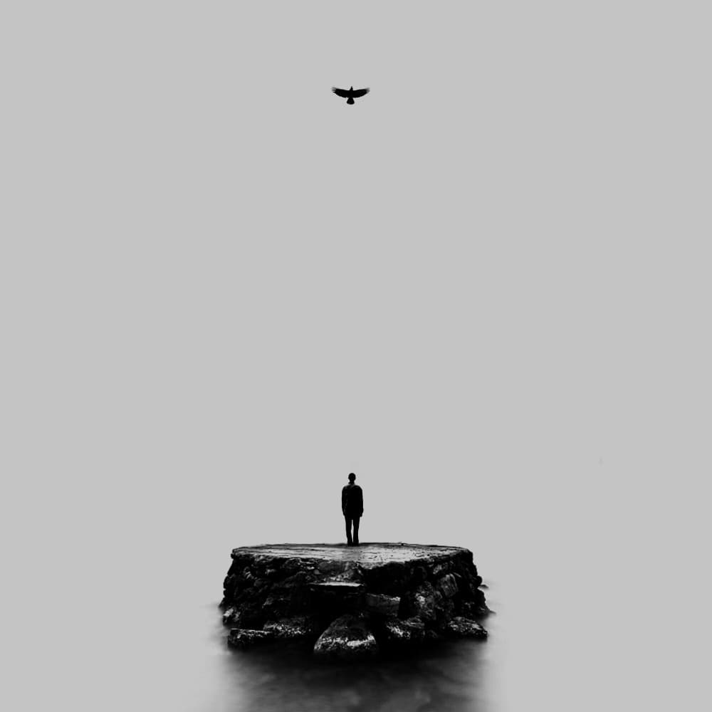 Solitary Man And Bird by Hadi Malijani (Malenjani) — canvas wall art
