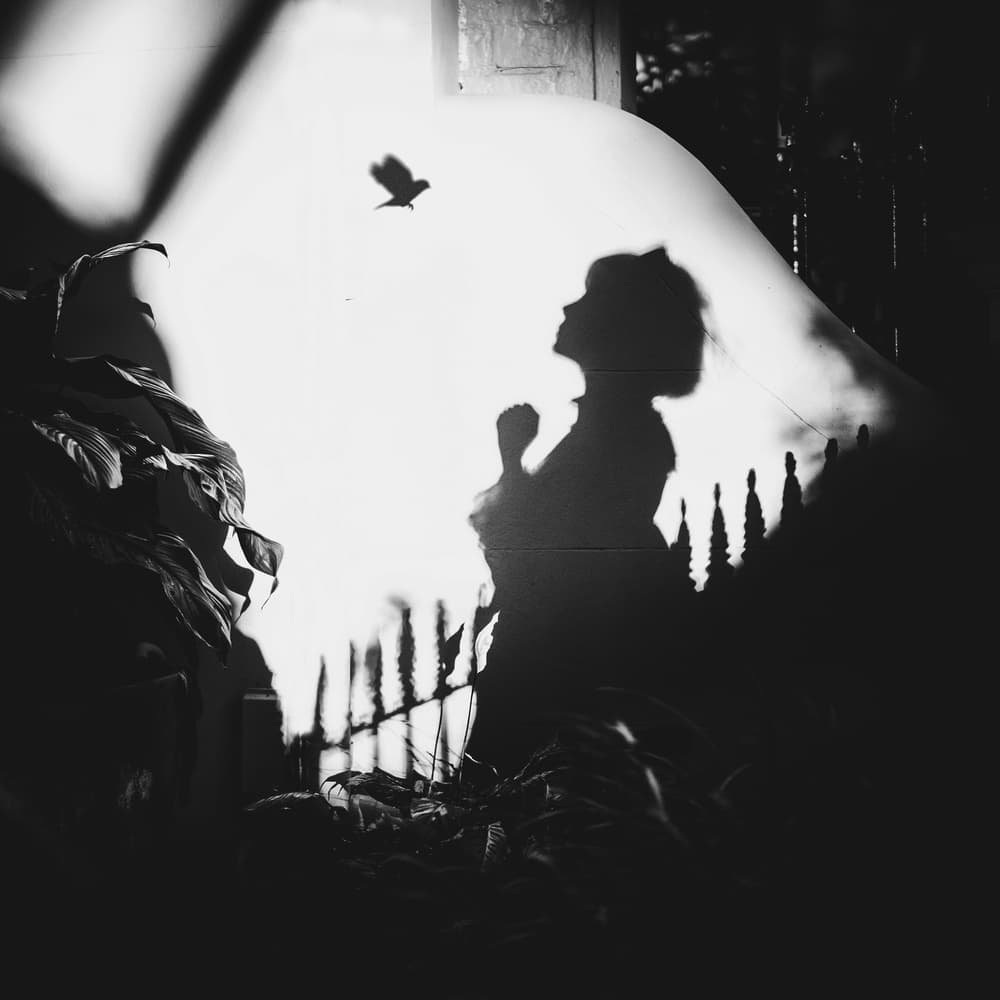 Silhouette and the Bird by Terry F — canvas wall art