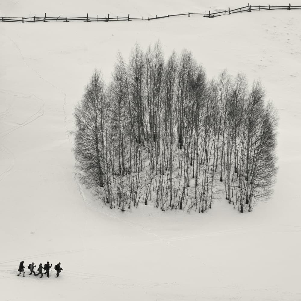 Winter Walk Through Snow by mihai ian nedelcu — canvas wall art
