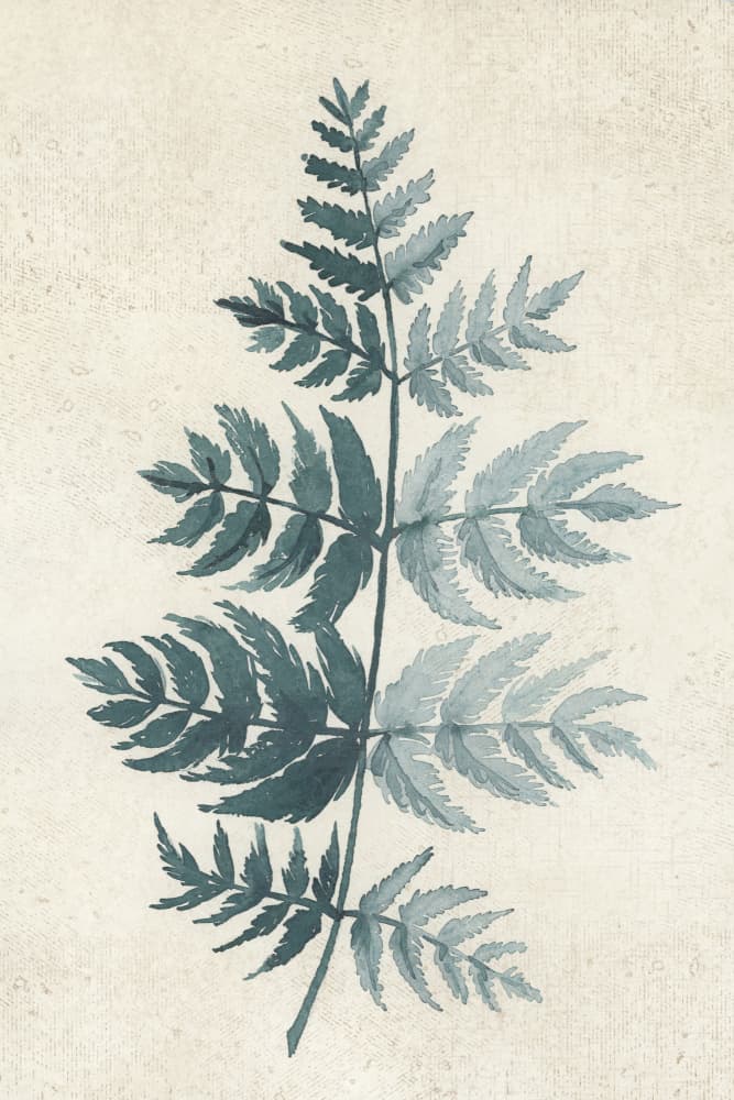 Botanical Fern Study by Rosana Laiz Blursbyai — canvas wall art