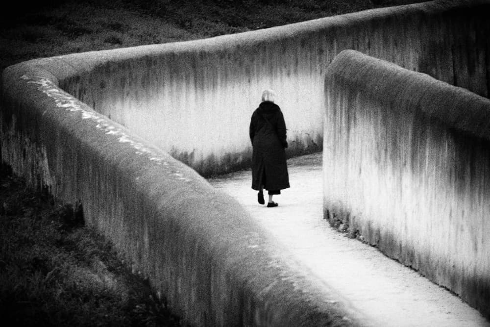 Solitary Path Walk by Paulo Abrantes — canvas wall art