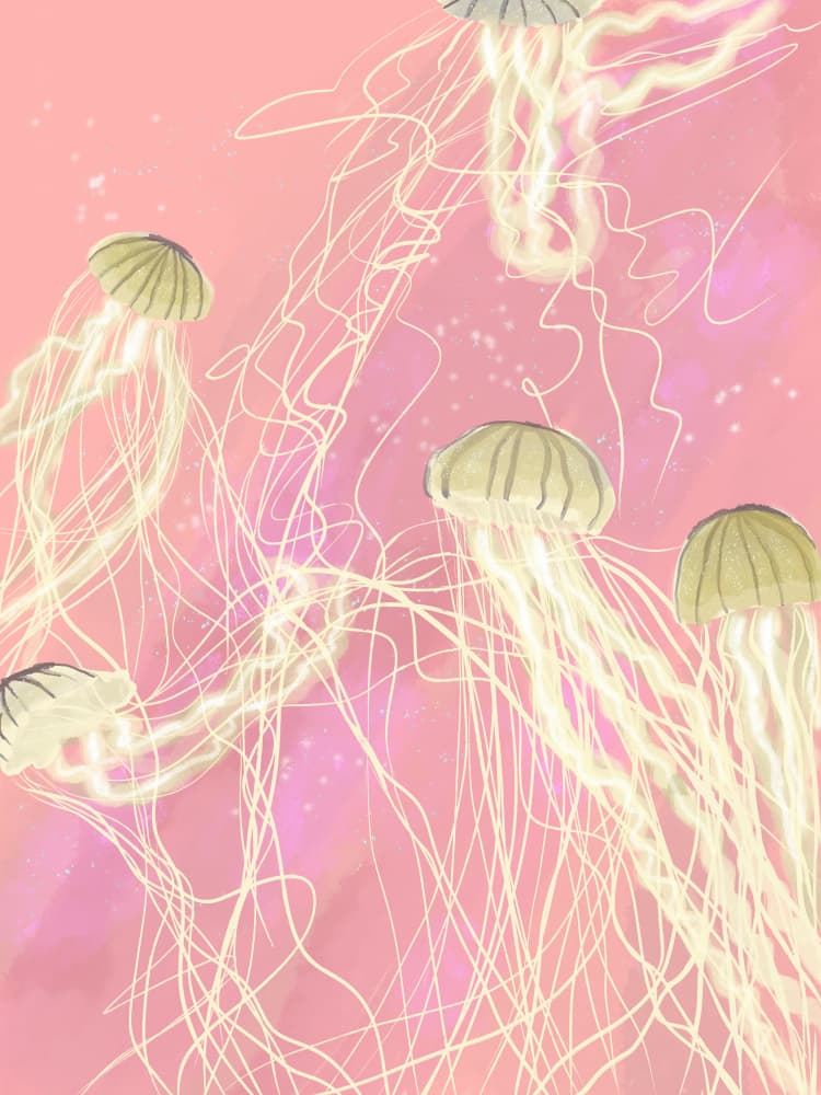 Glowing Pink Jellyfish