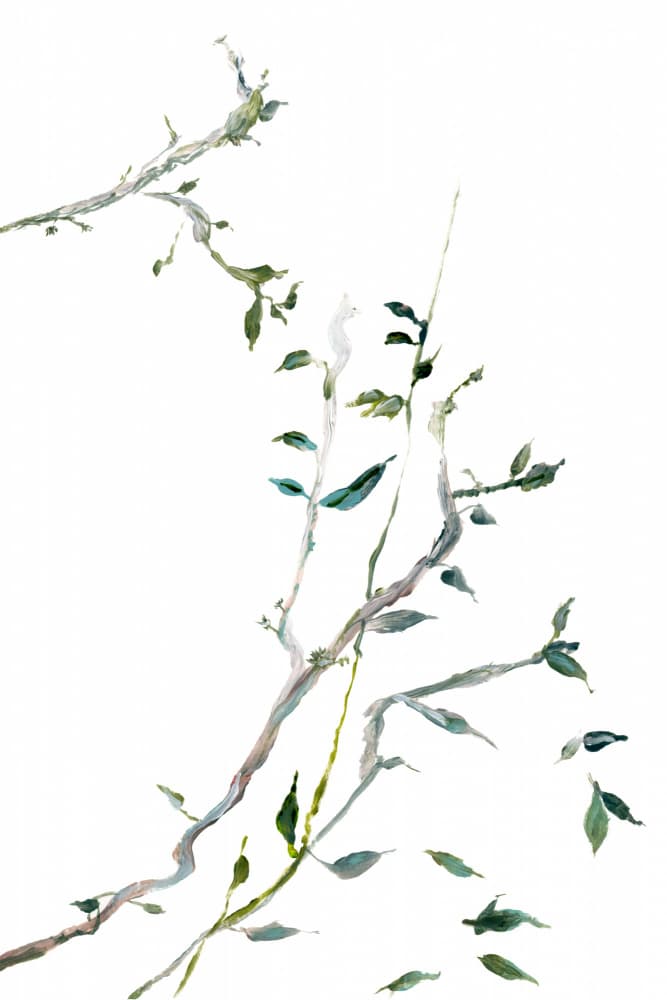 Delicate Green Branches by cartissi — canvas wall art