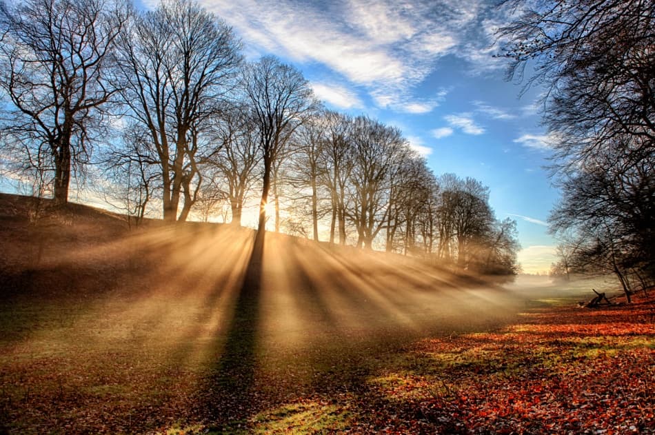 Golden Morning Rays by Kent Mathiesen — canvas wall art