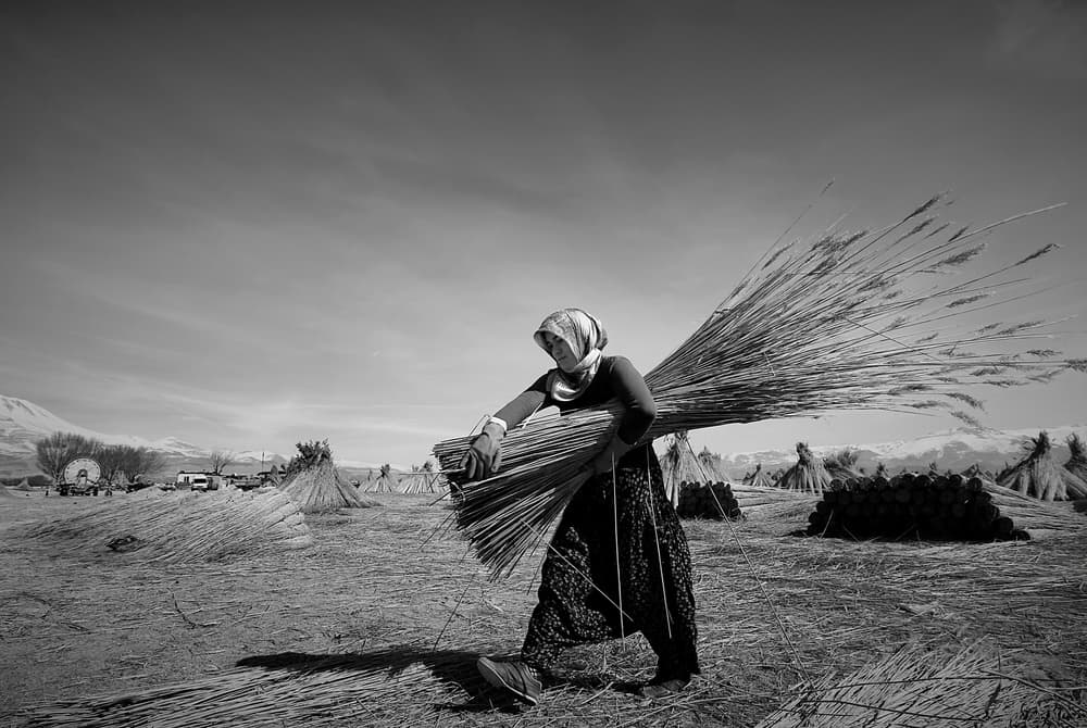 Woman Carrying Reeds by Emine Basa — canvas wall art