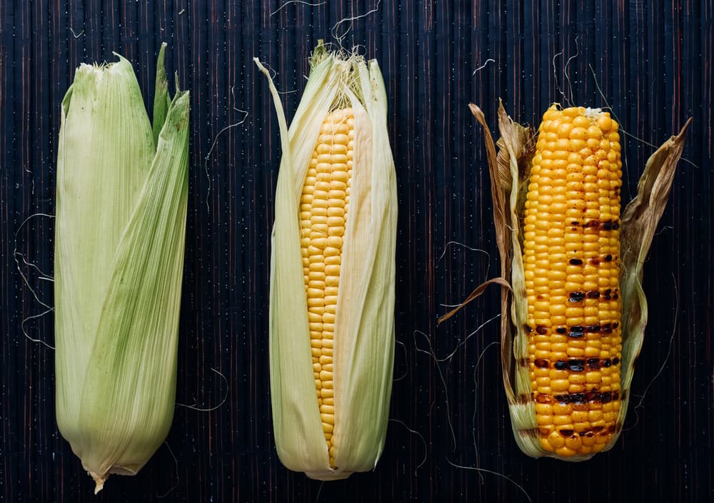 Fresh and Grilled Corn by Karina Aleksandrova — canvas wall art