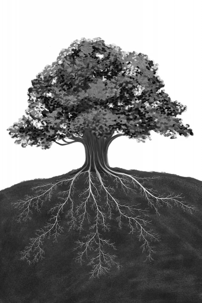 Deep Rooted Tree by EMELIEmaria — canvas wall art