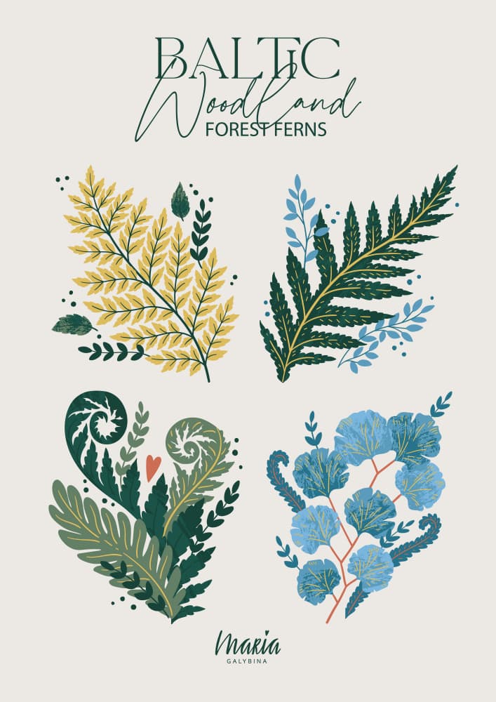 Baltic Woodland Ferns by Maria Galybina — canvas wall art