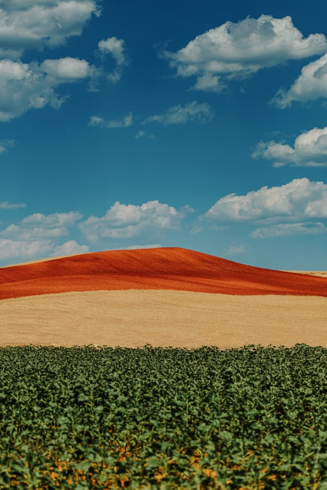 Colorful Farm Landscape by Javier Pardina — canvas wall art