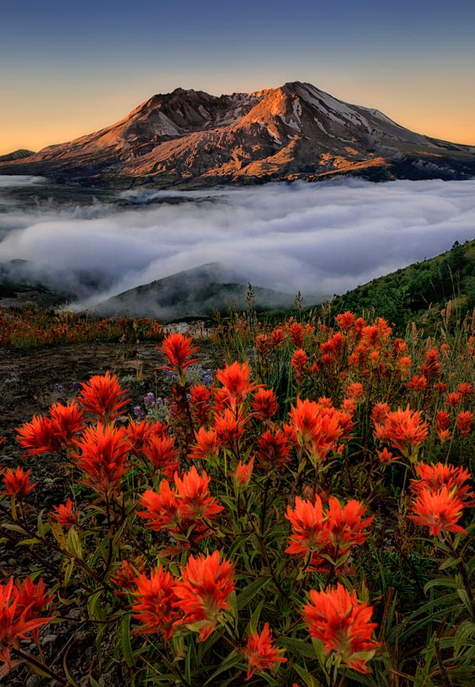 Sunrise Mountain Paintbrush by Lydia Jacobs — canvas wall art