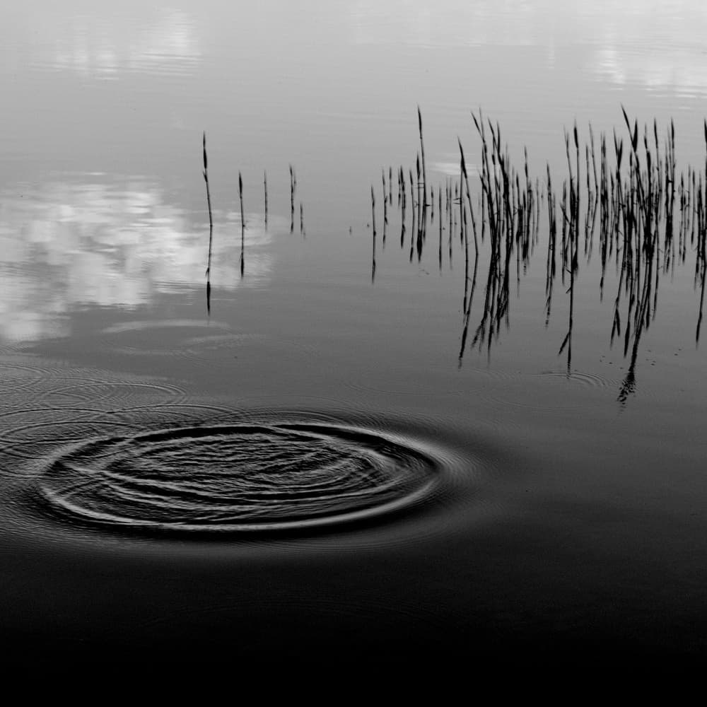 Monochromatic Water Ripples by Poul-Erik Riis — canvas wall art