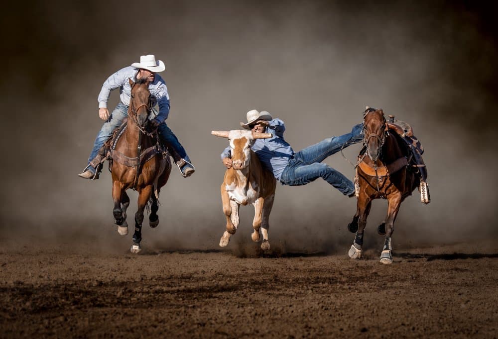 Rodeo Cowboy Action by Frank Ma — canvas wall art