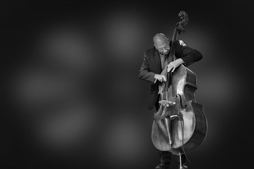 Jazz Bass Player by Jois Domont ( J.L.G.) — canvas wall art