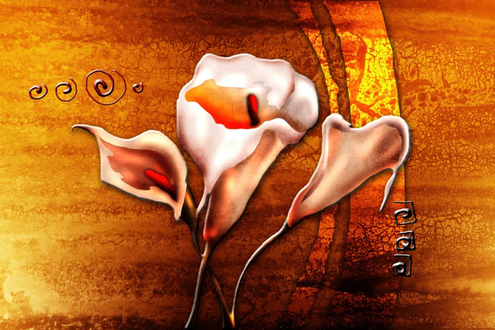 Golden Calla Lilies by Rafal Kulik — canvas wall art
