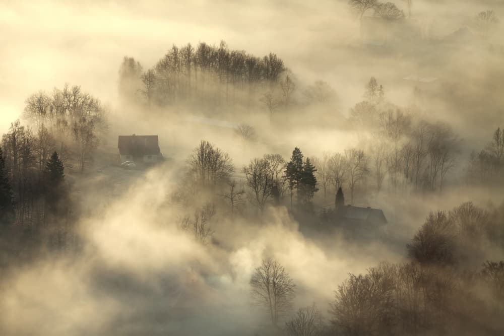 Tranquil Misty Valley by Izabela Laszewska-Mitrega / Darek Mitręga — canvas wall art