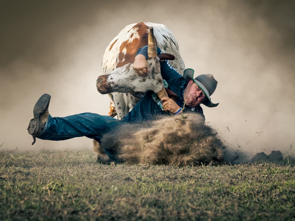 Rodeo Cowboy Thrown by Frank Ma — canvas wall art