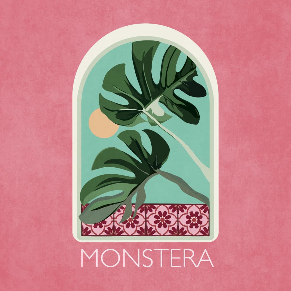 Green Sets Monstera by Emel Tunaboylu — canvas wall art
