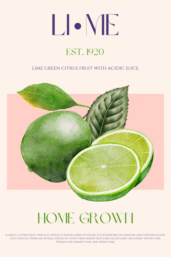 Home Grown Limes by Nazma Khokhar — canvas wall art