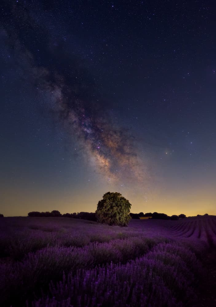 Milky Way Lavender Field by Carlos Hernandez Martinez — canvas wall art