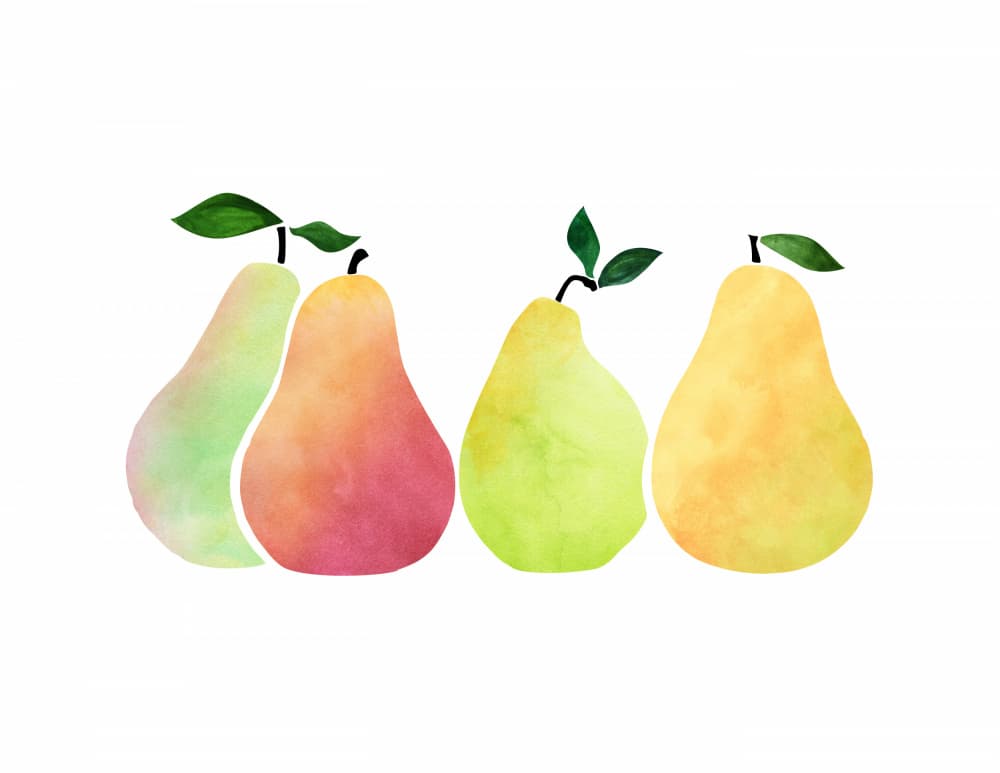 Pears by Kristian Gallagher — canvas wall art