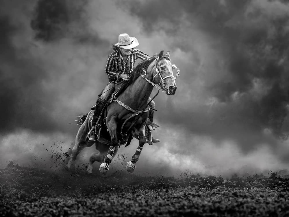 Powerful Western Gallop by Frank Ma — canvas wall art
