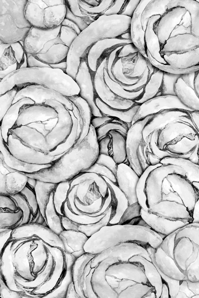 Soft Gray Roses by EMELIEmaria — canvas wall art