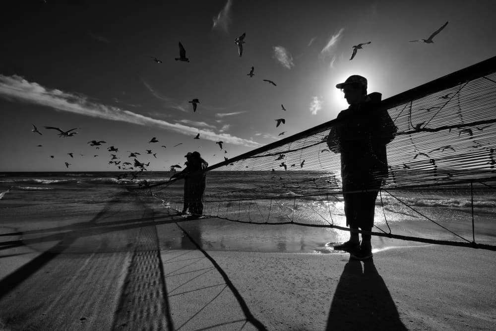Fishermen and Seagulls by Josefina Melo — canvas wall art