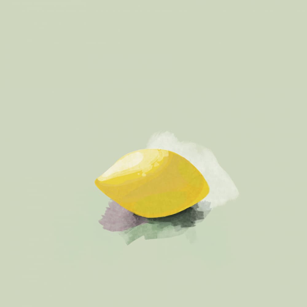 Vibrant Lemon Slice by Rosana Laiz Blursbyai — canvas wall art