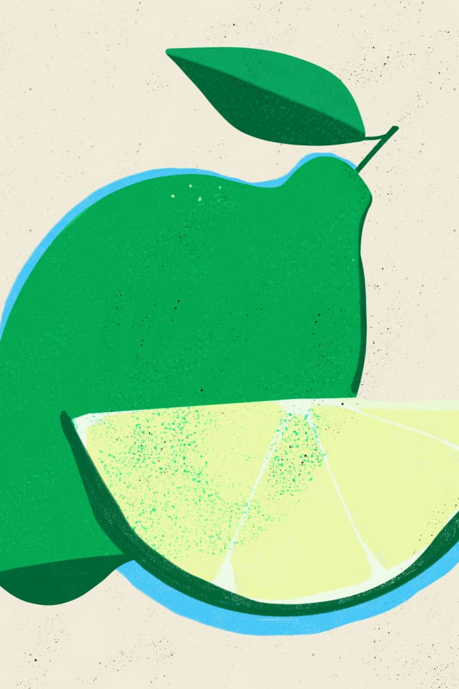 Vibrant Lime Slice by sucidraw — canvas wall art