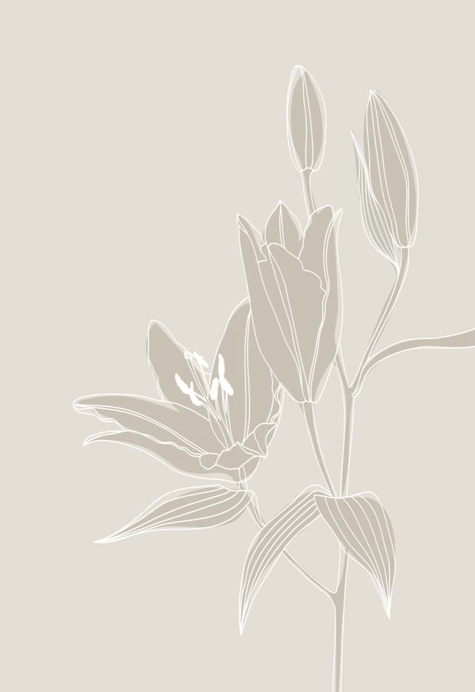 Delicate Lily Bloom by Rosana Laiz Blursbyai — canvas wall art
