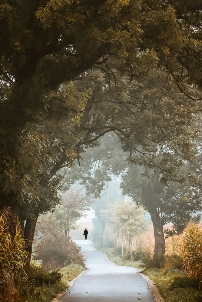 Lone Walker Misty Road by Renate Wasinger — canvas wall art