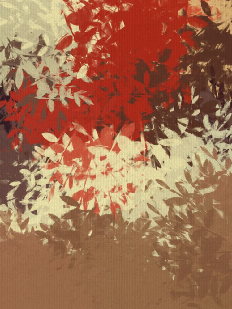 Abstract Autumn Leaves by Dina Dankers — canvas wall art