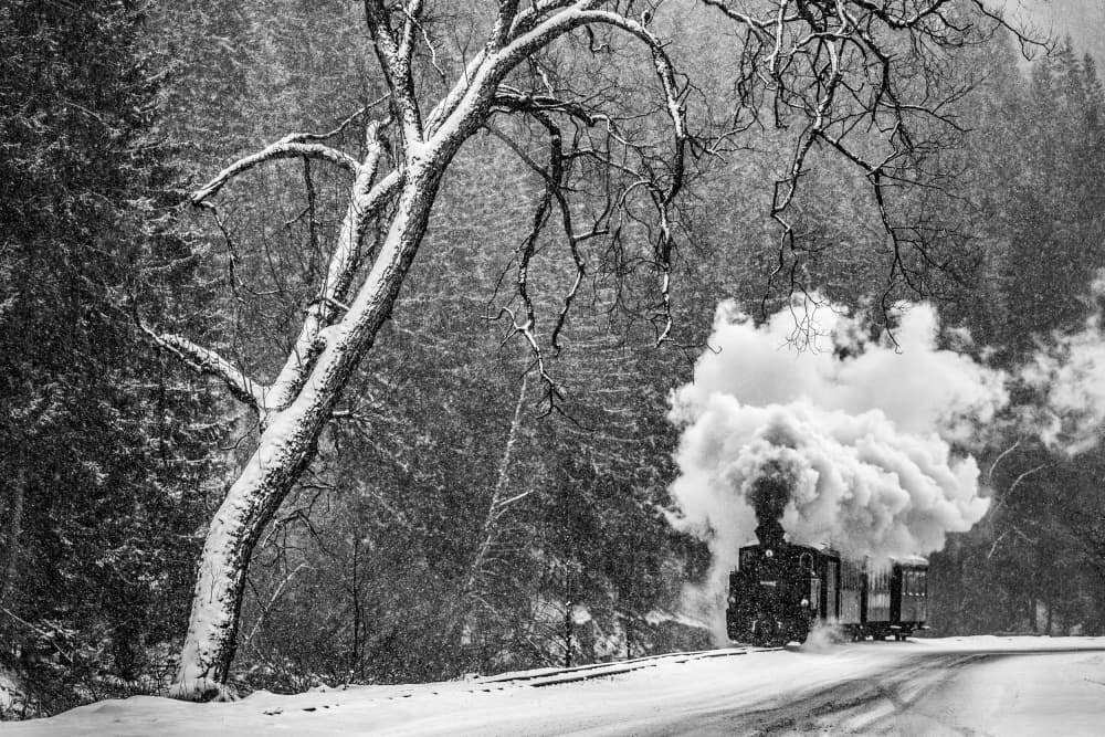 Winter Steam Train Journey by Sveduneac Dorin Lucian — canvas wall art
