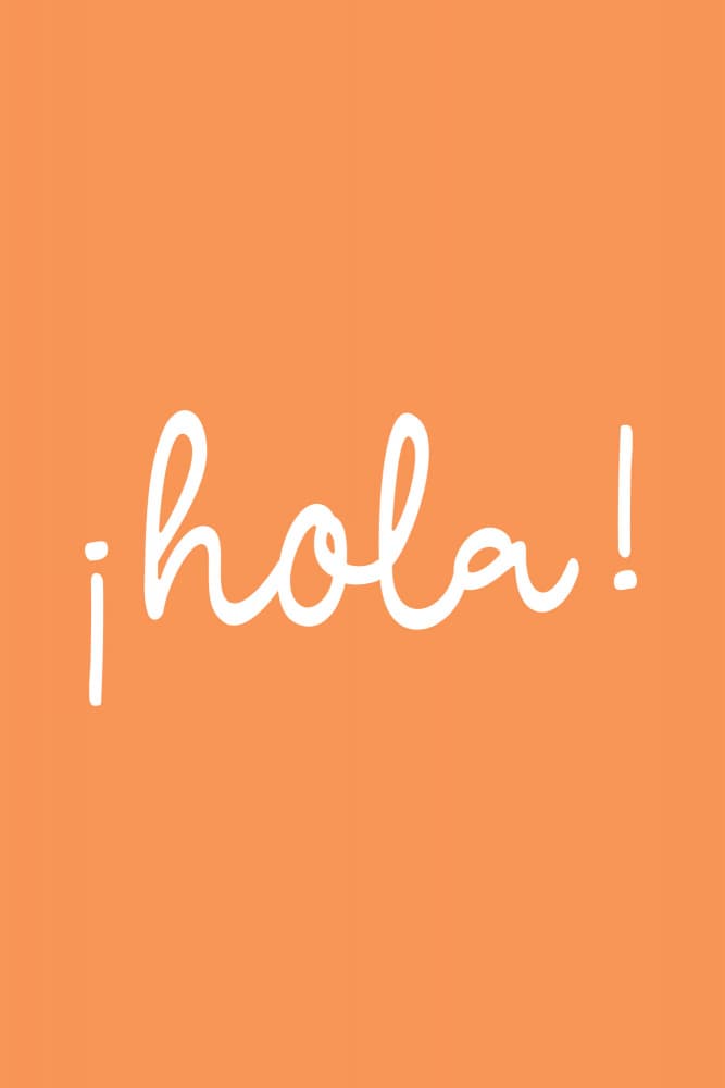 Hola Orange Script by Karen Menzenbach — canvas wall art