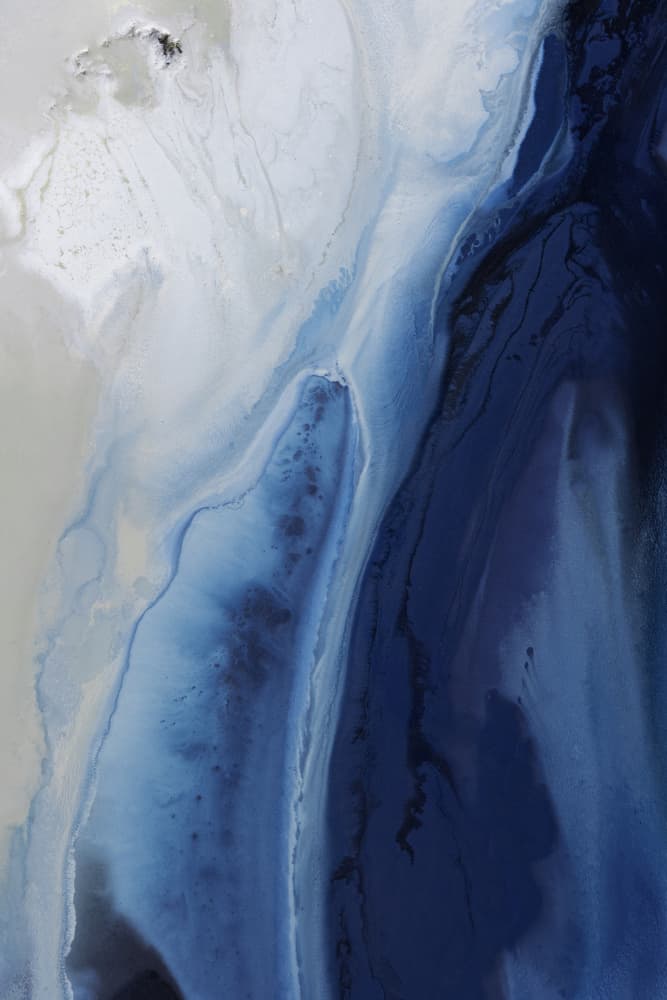 Marine Majesty 2upscaled Cgi 13287w by Petra Meikle de Vlas — canvas wall art