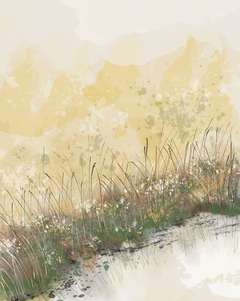 Marsh Grass Reflection by Sannel Larson — canvas wall art