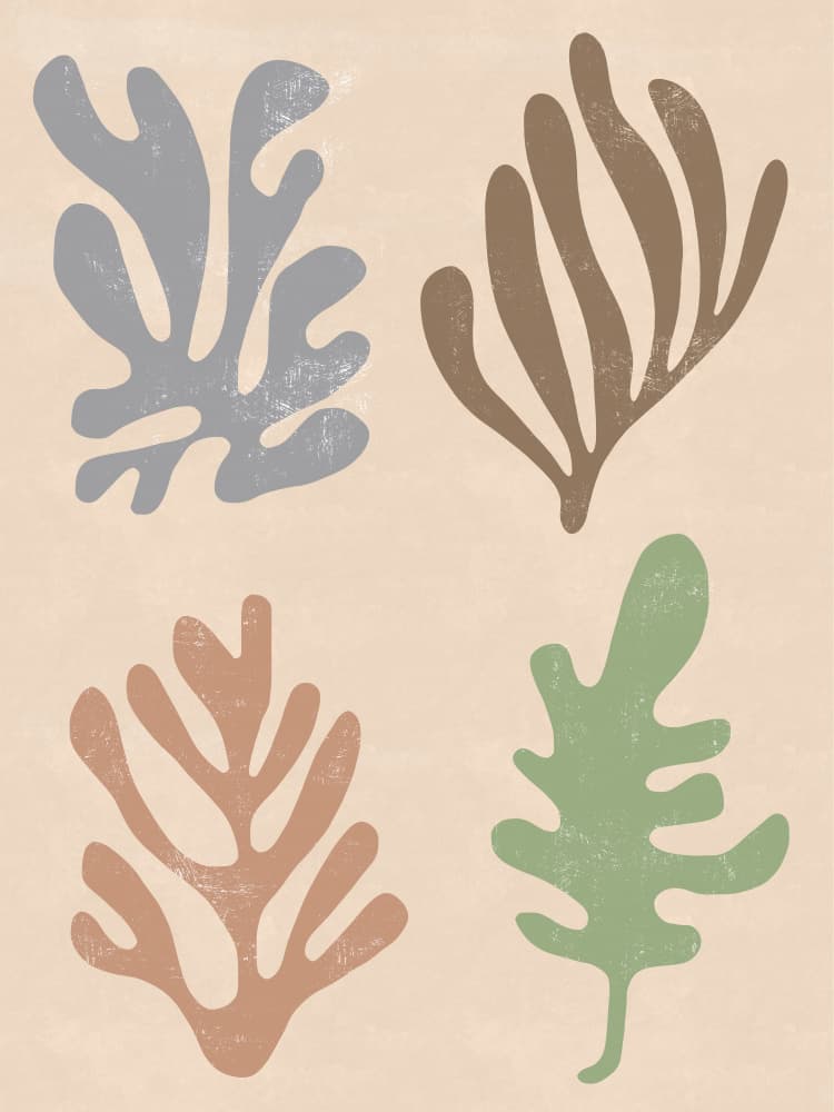 Organic Botanical Shapes by Ninola Design — canvas wall art