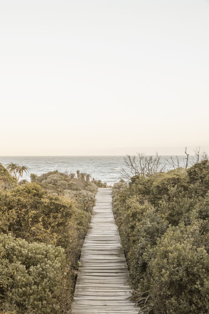 Pathway to Tranquility by Shot by Clint — canvas wall art