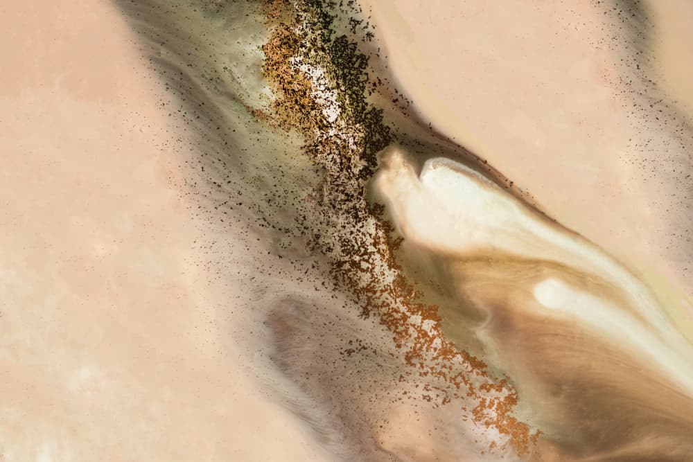 Subtle- Coastal Dunes by Petra Meikle de Vlas — canvas wall art