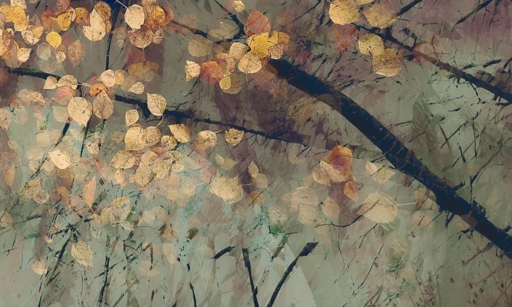 Tomorrow by Nel Talen — canvas wall art