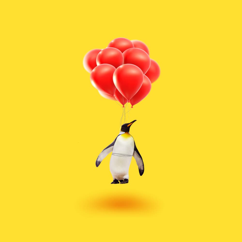 Flying Penguin Balloons by Artem Pozdniakov — canvas wall art
