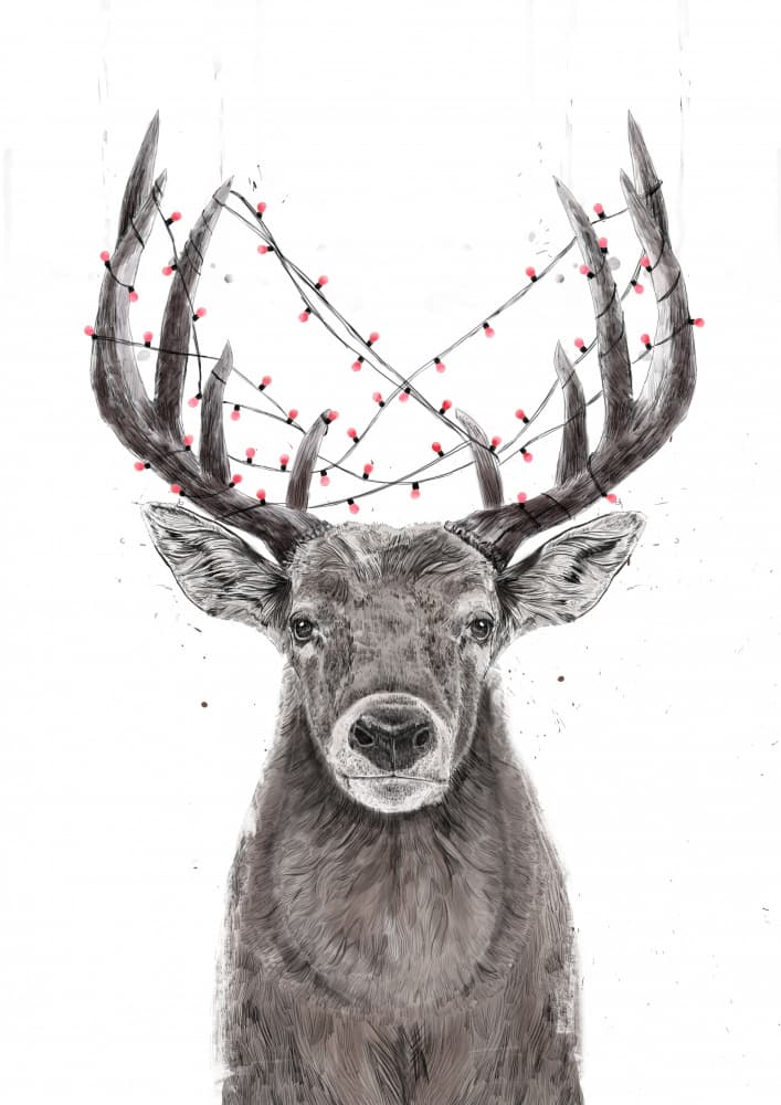 Festive Stag Lights by Balazs Solti — canvas wall art