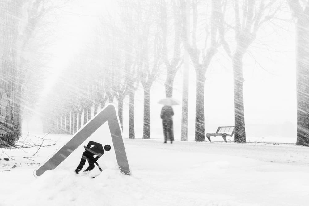 Winter Path Graphic by Madison — canvas wall art