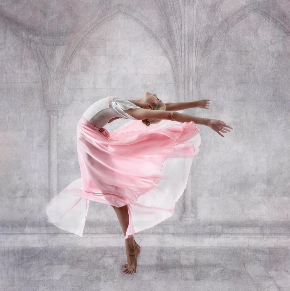 Graceful Pink Ballet by Derwood — canvas wall art