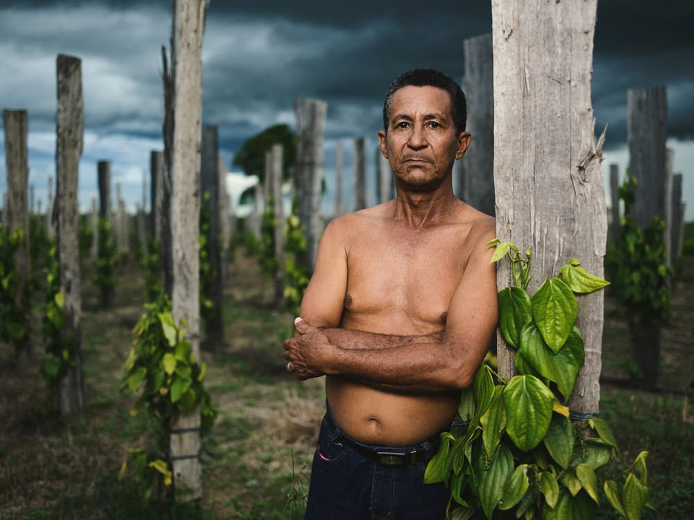 Farmer Under Stormy Sky by Giacomo Bruno — canvas wall art