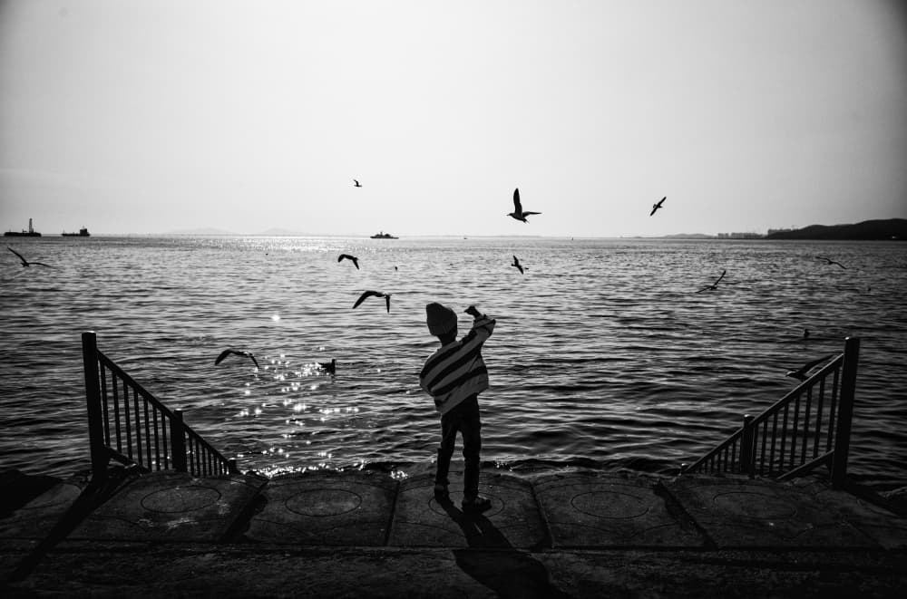 Child Watching Seagulls by Bong Goo Kang — canvas wall art