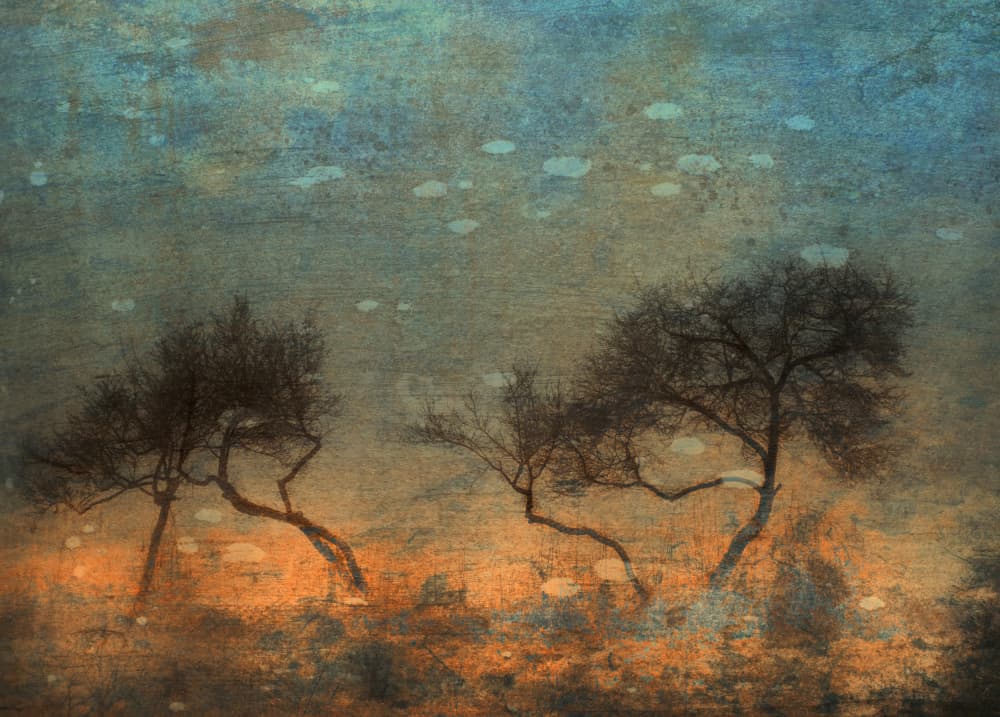 Textured Desert Trees by Ria Groot Zevert — canvas wall art