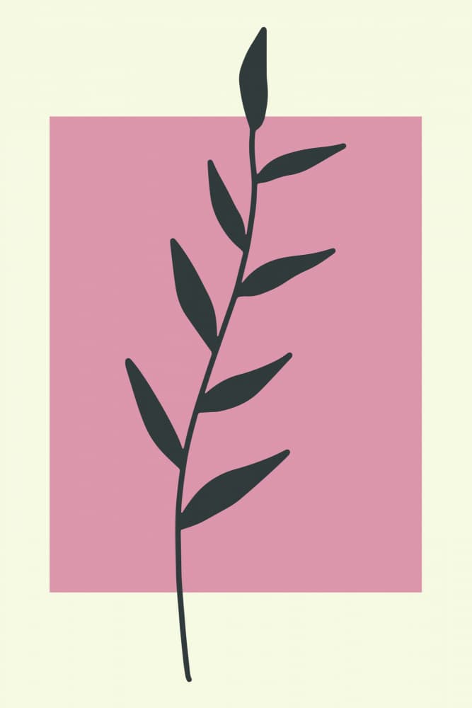 Simple Pink Botanical by jay stanley — canvas wall art