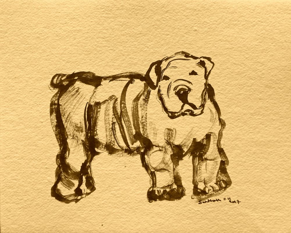 Expressive Bulldog Sketch by Santhosh ch — canvas wall art