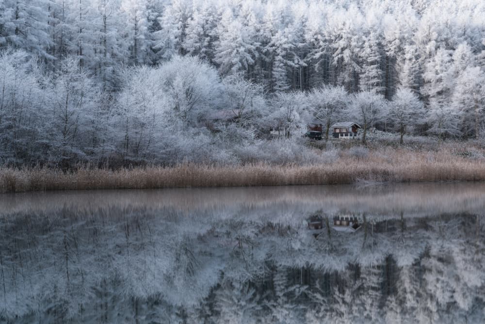 Snowy Forest Lake Reflection by Syunsuke Narita — canvas wall art
